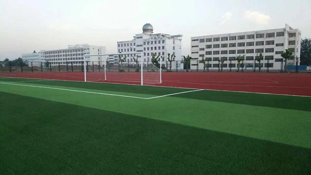 Latest Sporting Decoration Artificial Plant Tencate Yarn for Sports