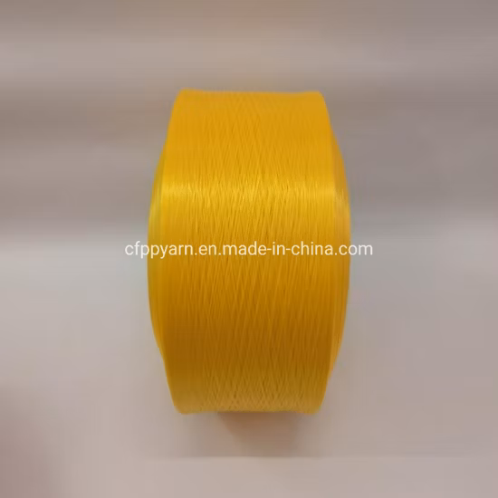 PP Multifilament Hollow Yarn Plant