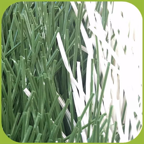 Latest Sporting Decoration Artificial Plant Tencate Yarn for Sports